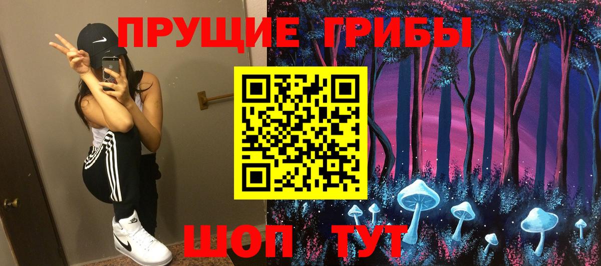 Псилоцибиновые грибы Psilocybine cubensis Россия